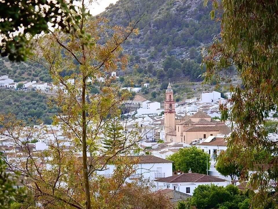 Casa Ana Villa Algodonales Buitenkant foto